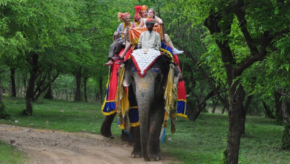 Image result for Elefantastic jaipur