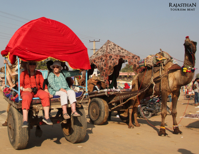 pushkar camel fair (3)